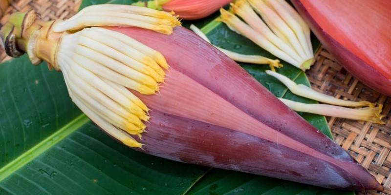 Alasan Mengapa Orang Jawa di Tulungagung Melarang Anaknya Makan Jantung Pisang
