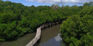 Taman Hutan Raya Ngurah Rai, Taman Wisata Kota yang Asri di Denpasar
