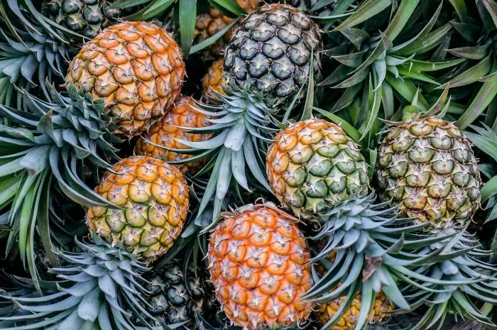 Buah Nanas