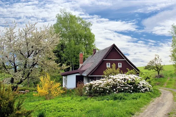 8 Ide Dekorasi Rumah dengan Tanaman untuk Tampilan Estetis