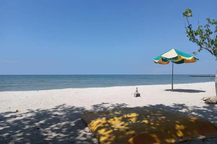 Beragam Aktivitas Seru di Pantai Delegan