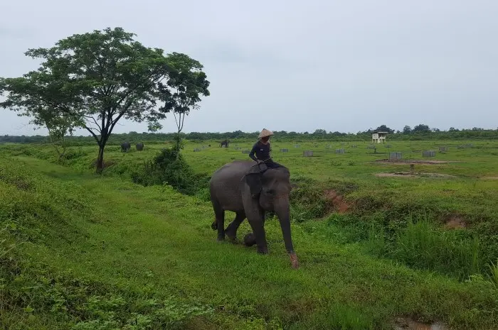 Petualangan di Taman Nasional Way Kambas
