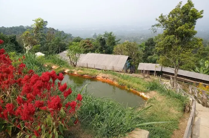 Kampung Domba