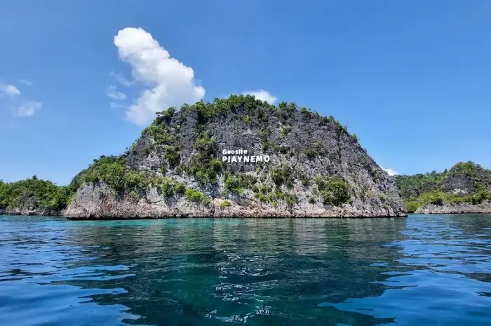 Pulau Waigeo