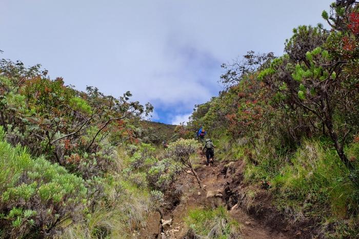 Gunung Lawu
